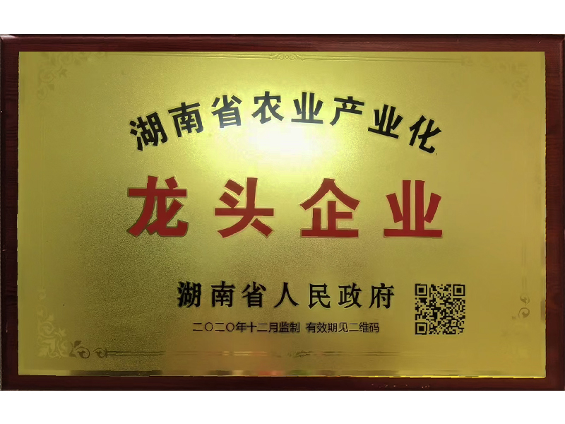 岳陽市漁之源食品有限公司,岳港漁都,洞庭魚港,散稱系列,田螺系列,臭豆腐加工，香豆腐加工，烤脖加工，魚仔,鴨排加工、雞丁加工代加工